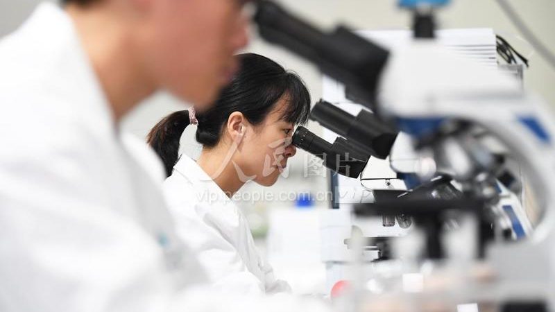 基因检测与基因编辑：揭秘其流程步骤