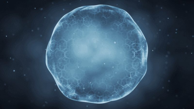 细胞培养代理解析：揭秘细胞培养代数对实验结果的影响**