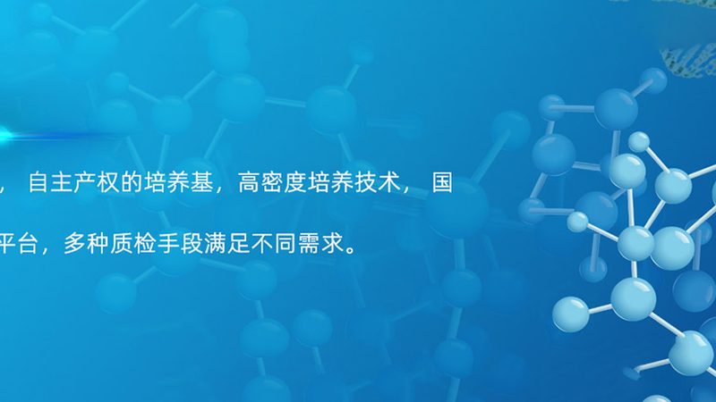 生物医药外包与自研：差异与选择之道