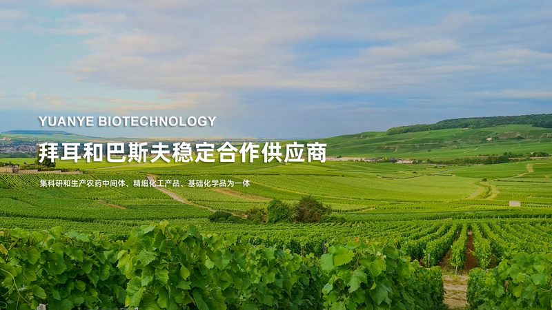 医药外包行业：如何选择可靠的合作伙伴**
