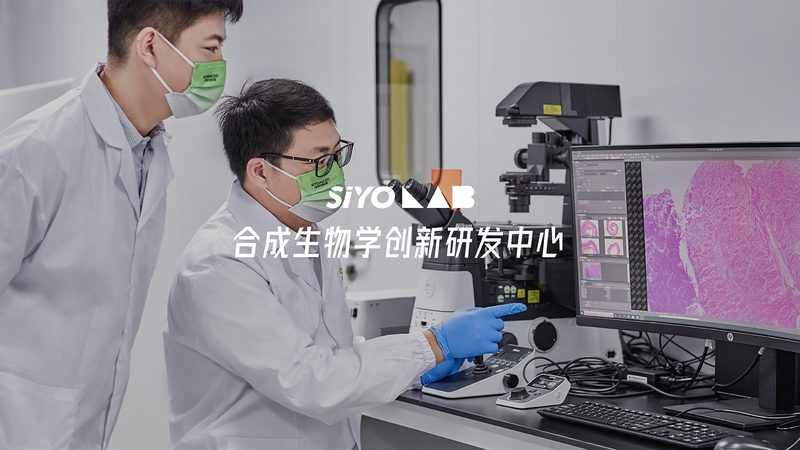 如何评估CRO优化团队性价比：关键因素解析