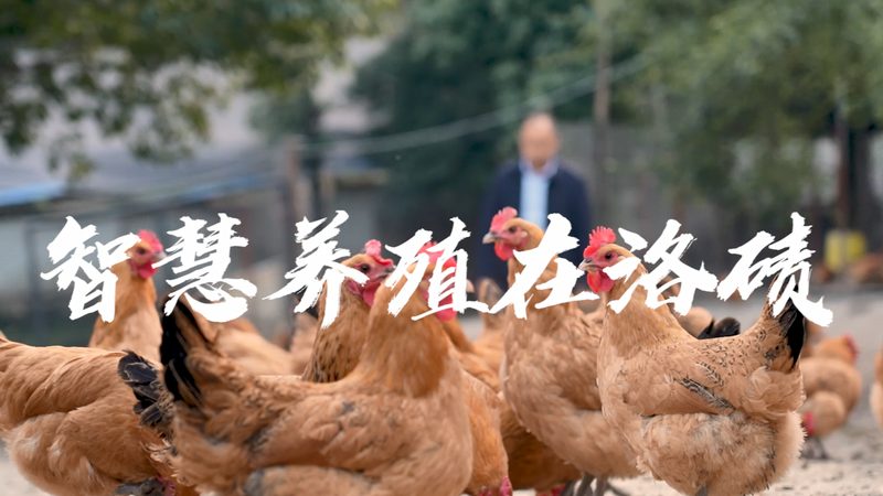 基因测序：解码生命奥秘，国内公司排名揭秘