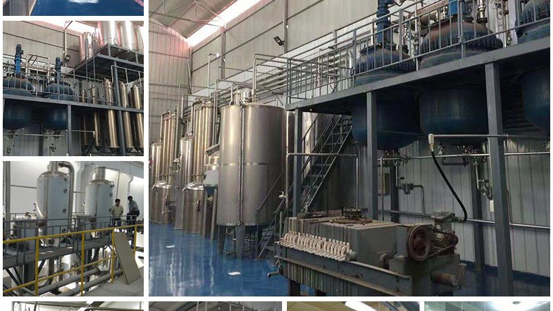 生物医药质量体系认证与GMP认证：本质区别与实际应用