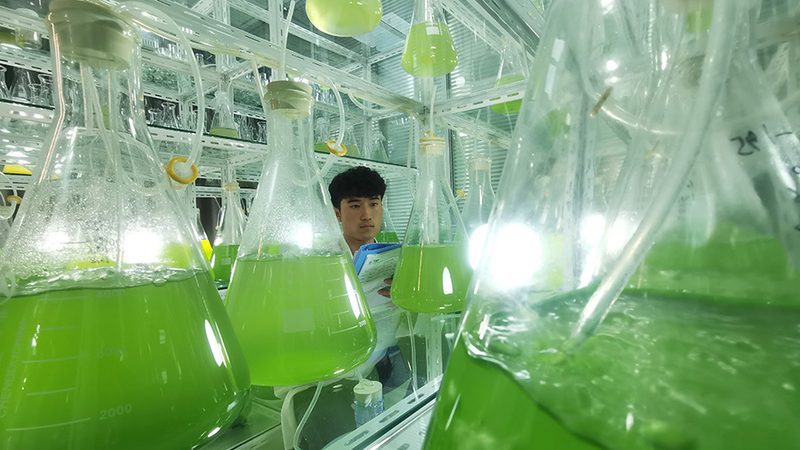 CRO优化工具定制开发：揭秘医药研发背后的“智脑